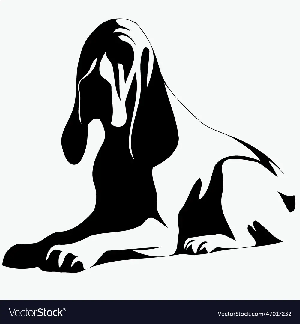 Black and White Hound Dog Breeds