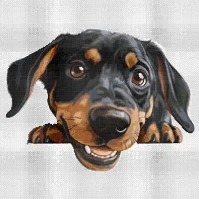 Black and Tan Hound Puppies A Unique Blend of Traits