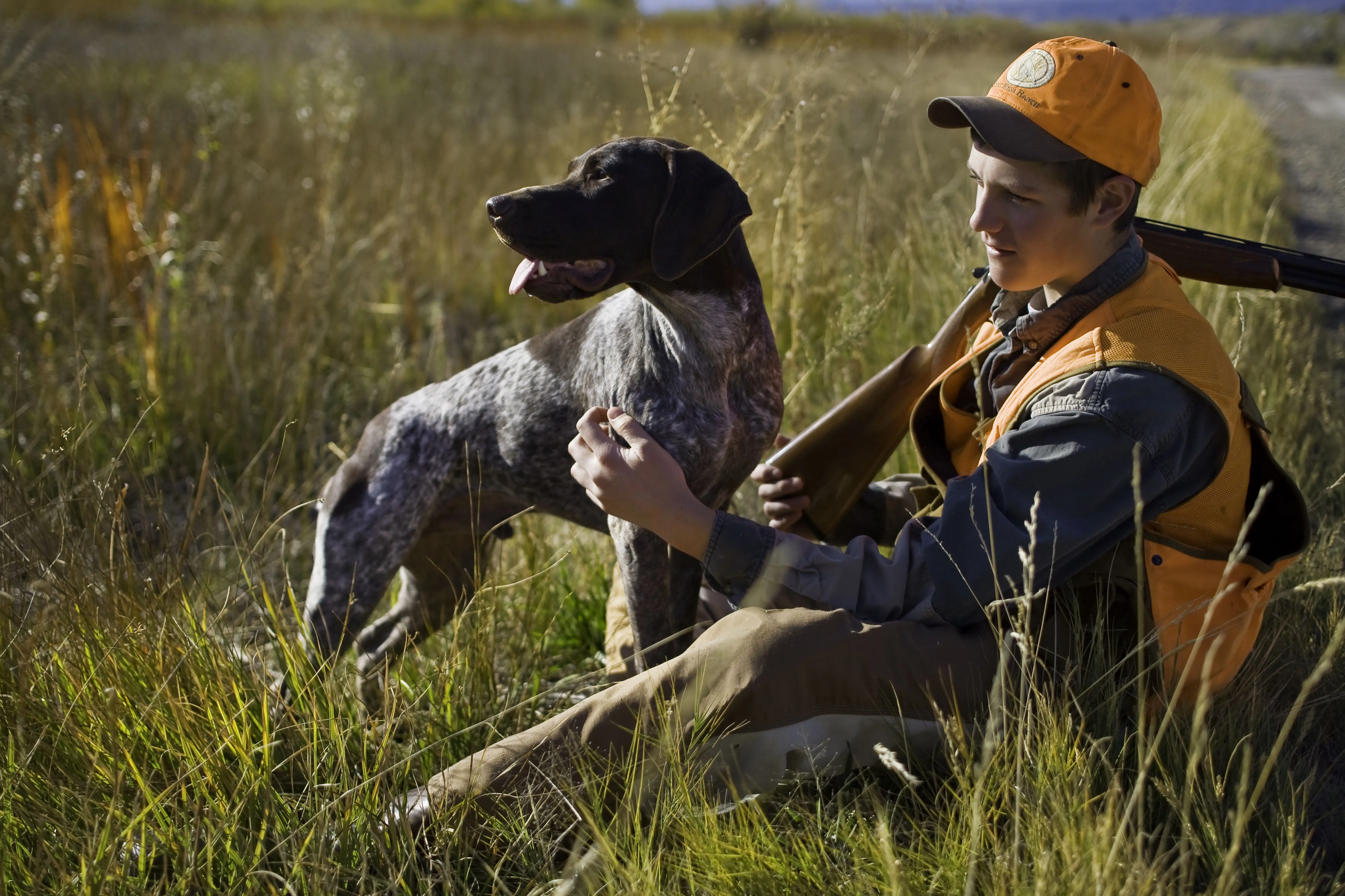 Non-Shedding Hunting Breeds: Top Choices for Allergy-Friendly Outdoor Companions