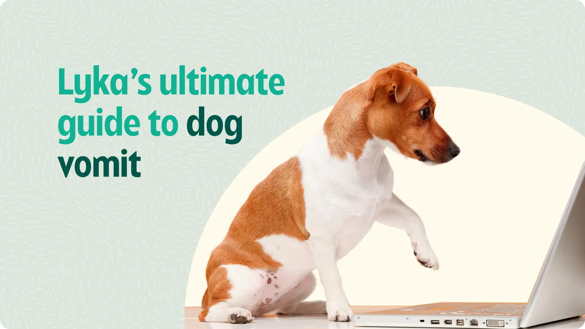 Gastrointestinal Disease in Dogs A Comprehensive Guide to Understanding, Managing, and Preventing Digestive Issues in Your Canine Companion