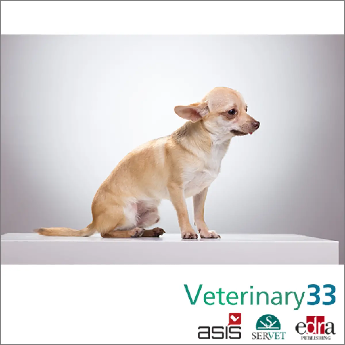 Gastrointestinal Disease in Dogs A Comprehensive Guide to Understanding, Managing, and Preventing Digestive Issues in Your Canine Companion