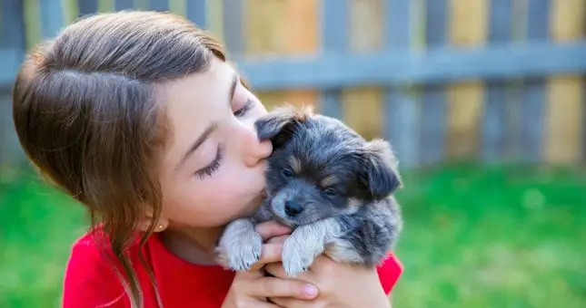 Signs and Symptoms of Parvo in Puppies Recognizing the Early Warning Signs and Seeking Timely Veterinary Care