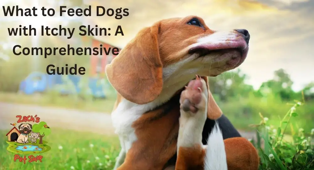 Best Allergy Medicine for Dogs with Itchy Skin