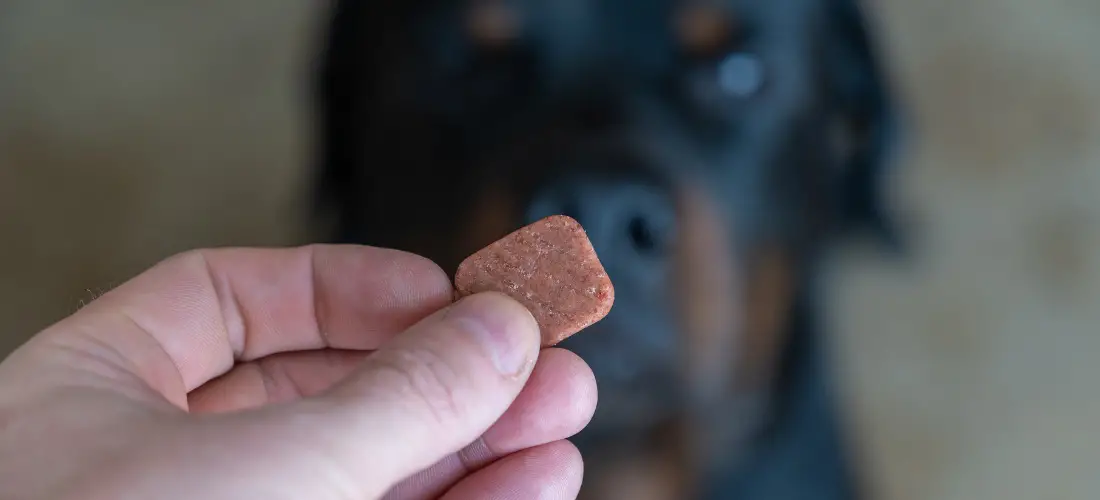 Flea Pills for Dogs Without a Vet Prescription