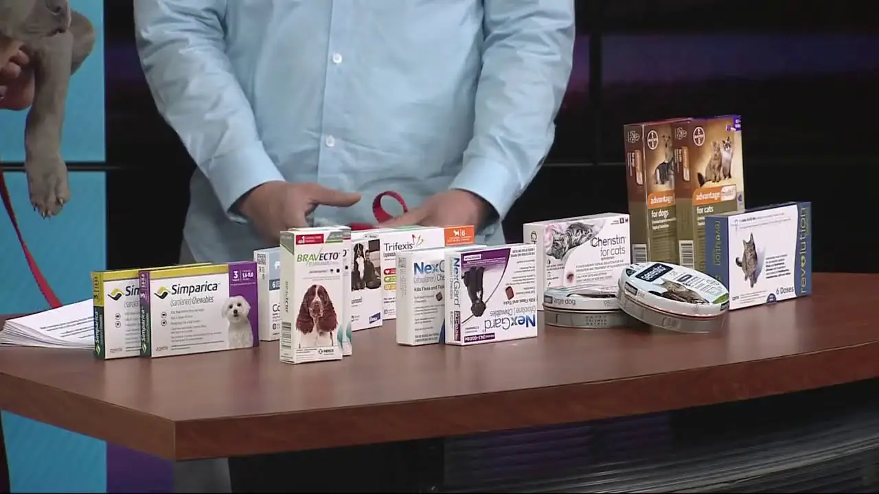 Safest Flea and Tick Treatment for Dogs