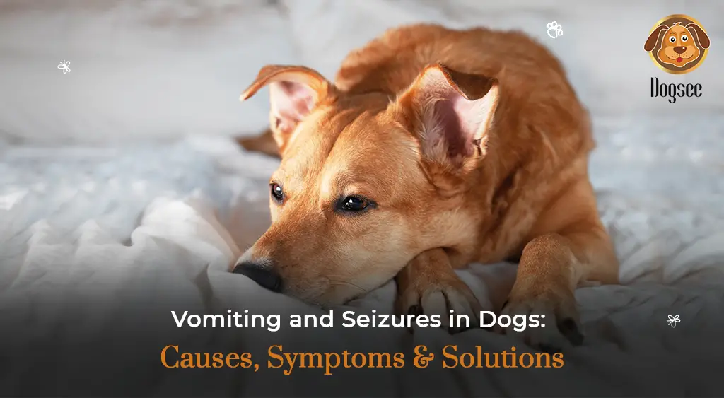 Dog Toxins Symptoms A Comprehensive Overview