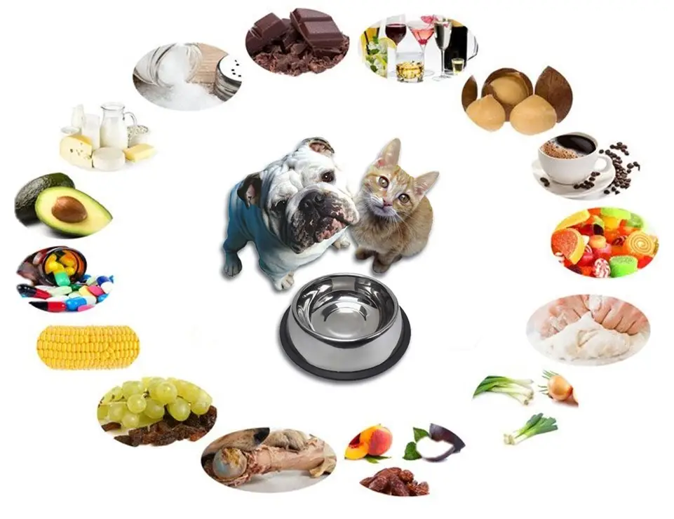 List of Dog Toxins