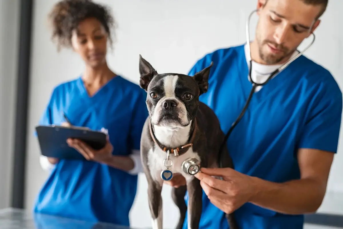 List of Dog Toxins
