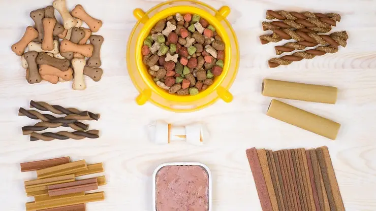 Understanding Dog Food Toxins A Comprehensive Guide to Safe and Healthy Feeding for Your Canine Companion