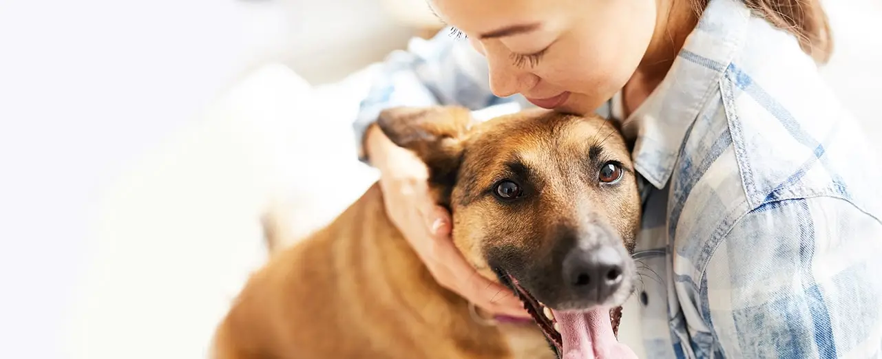 Can a Human Get Worms from a Puppy?