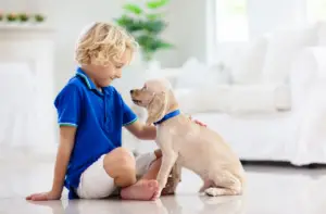 Can a Human Get Worms from a Puppy?