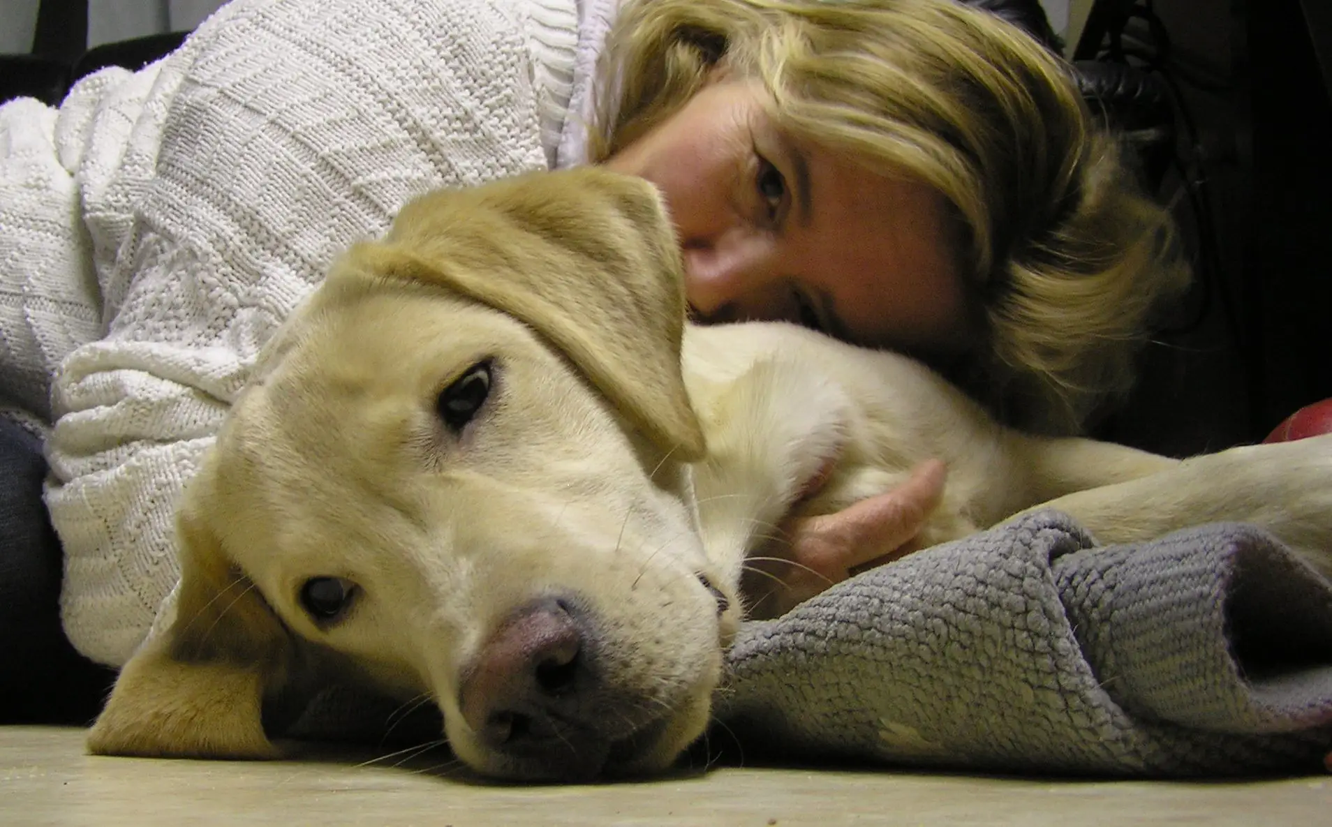 Can a Dog with Worms Pass It on to Humans?