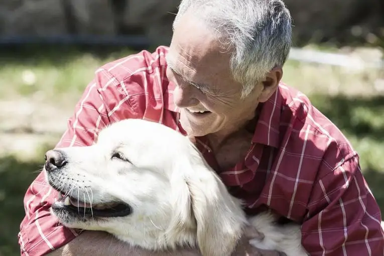 Seniors for Seniors Dog Adoption A Meaningful Connection