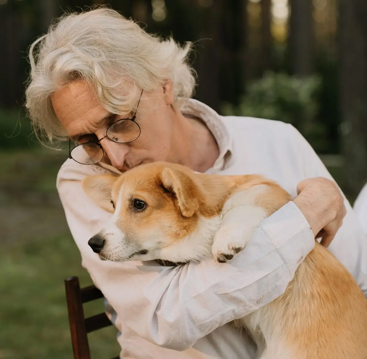 Seniors for Seniors Dog Adoption A Meaningful Connection