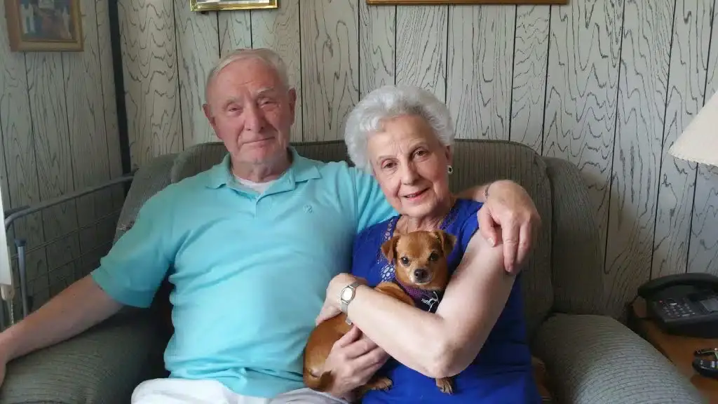 Seniors for Seniors Dog Adoption A Meaningful Connection