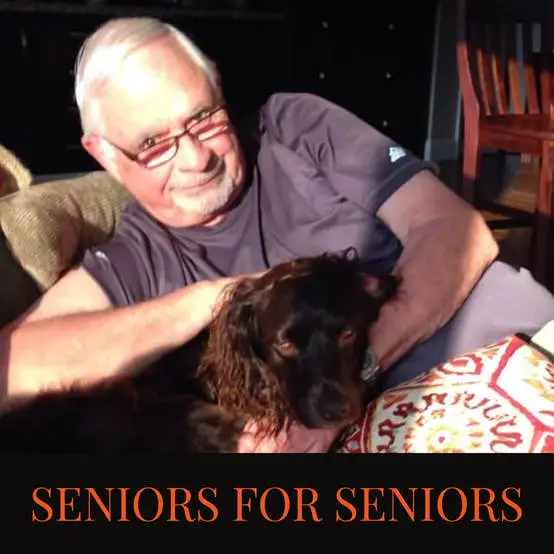 Seniors for Seniors Dog Adoption A Meaningful Connection