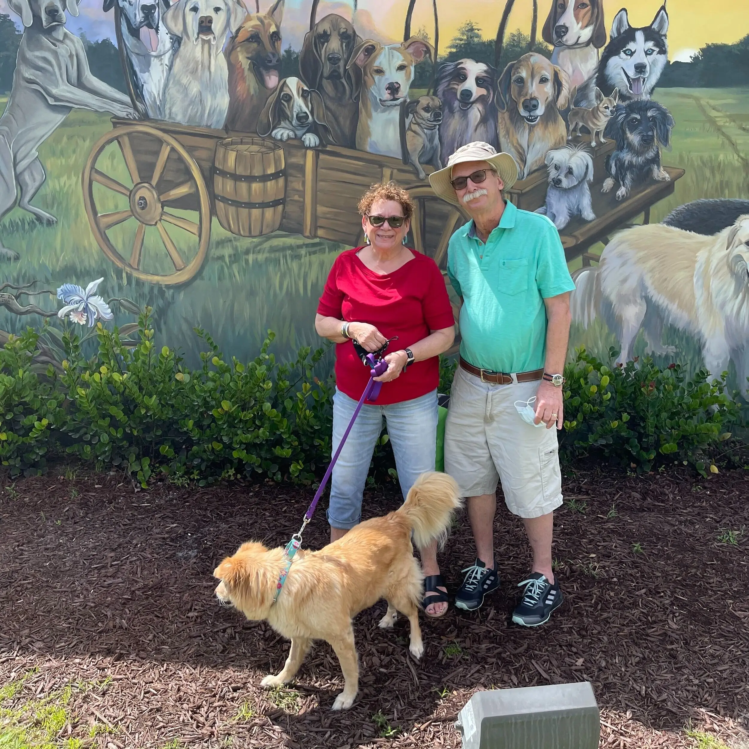 Seniors for Seniors Dog Adoption A Meaningful Connection