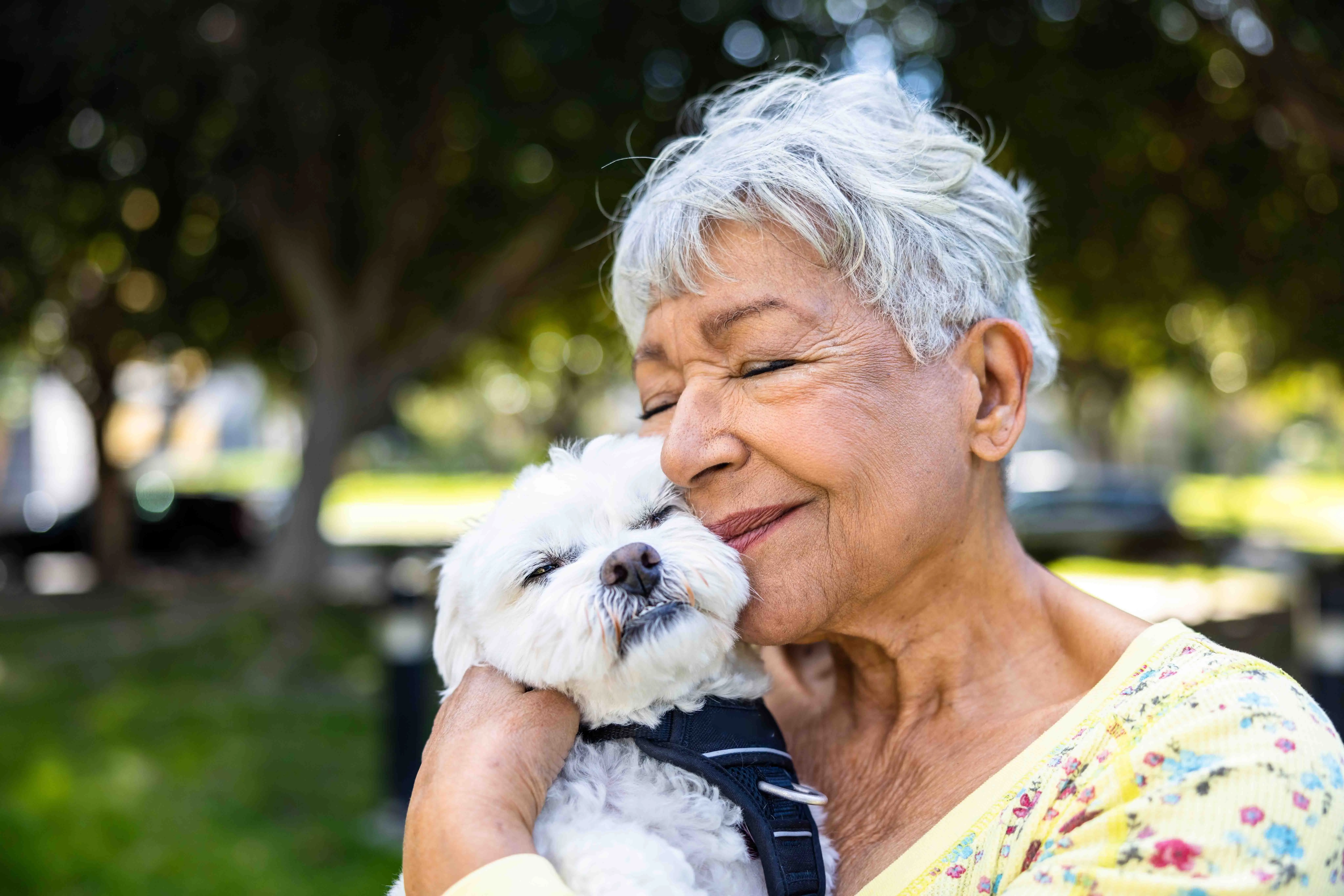 Seniors for Seniors Dog Adoption A Meaningful Connection
