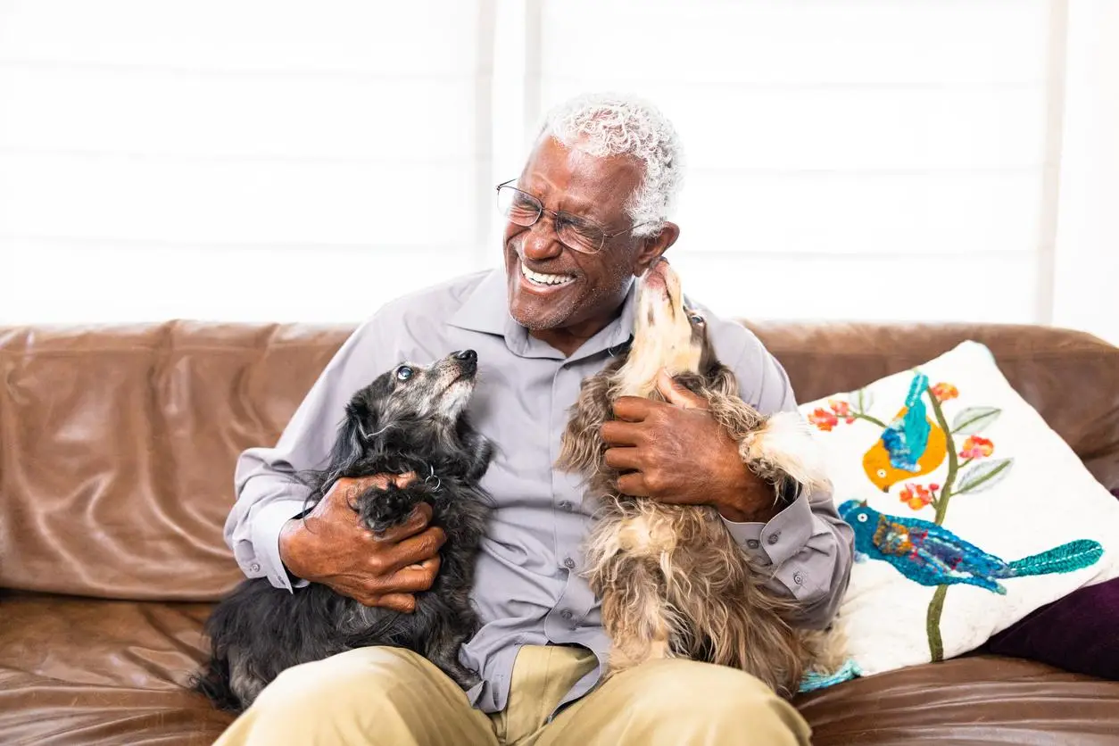 What Age is a Dog Considered a Senior?