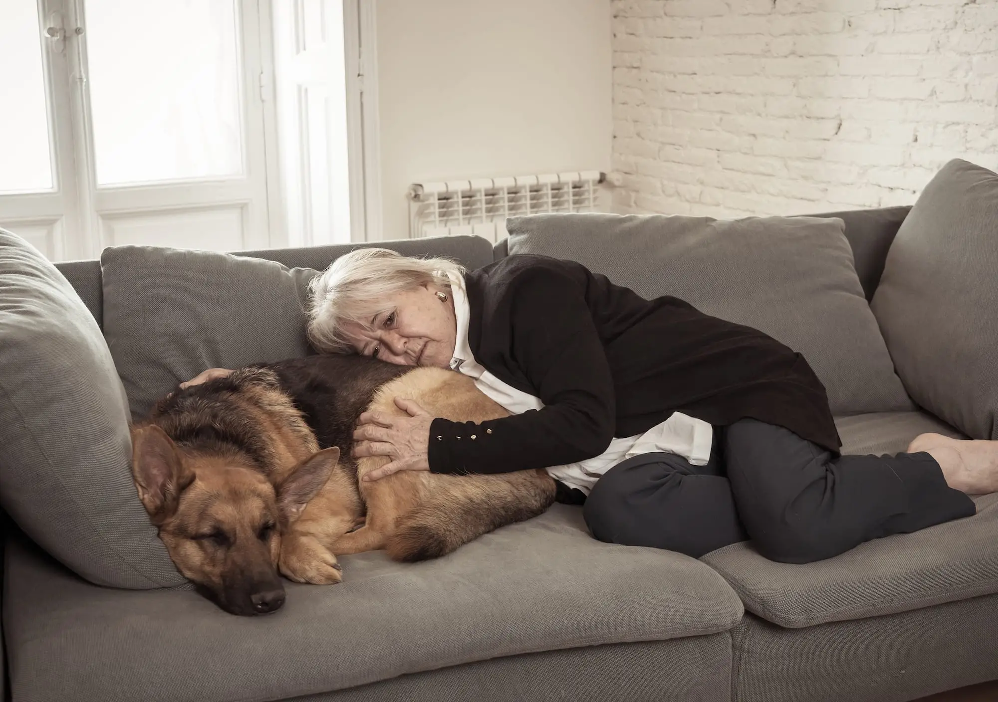 Pet Loss Grief Stages