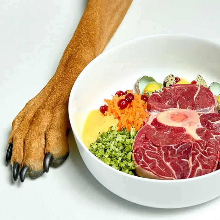What Can Dogs Can and Cannot Eat?