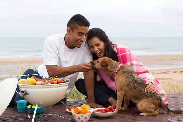 What Can Dogs Can and Cannot Eat?