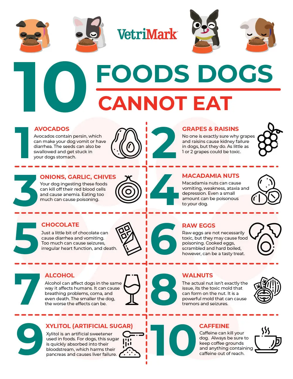 What Can Dogs Can and Cannot Eat?