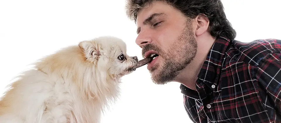 What Can Dogs Can and Cannot Eat?