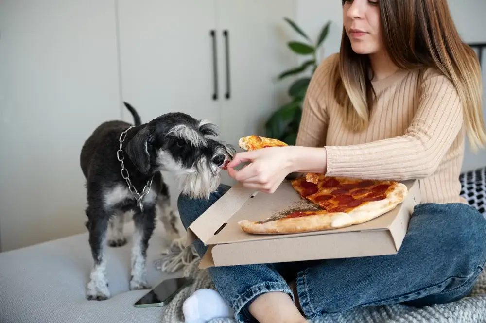 What Can Dogs Can and Cannot Eat?