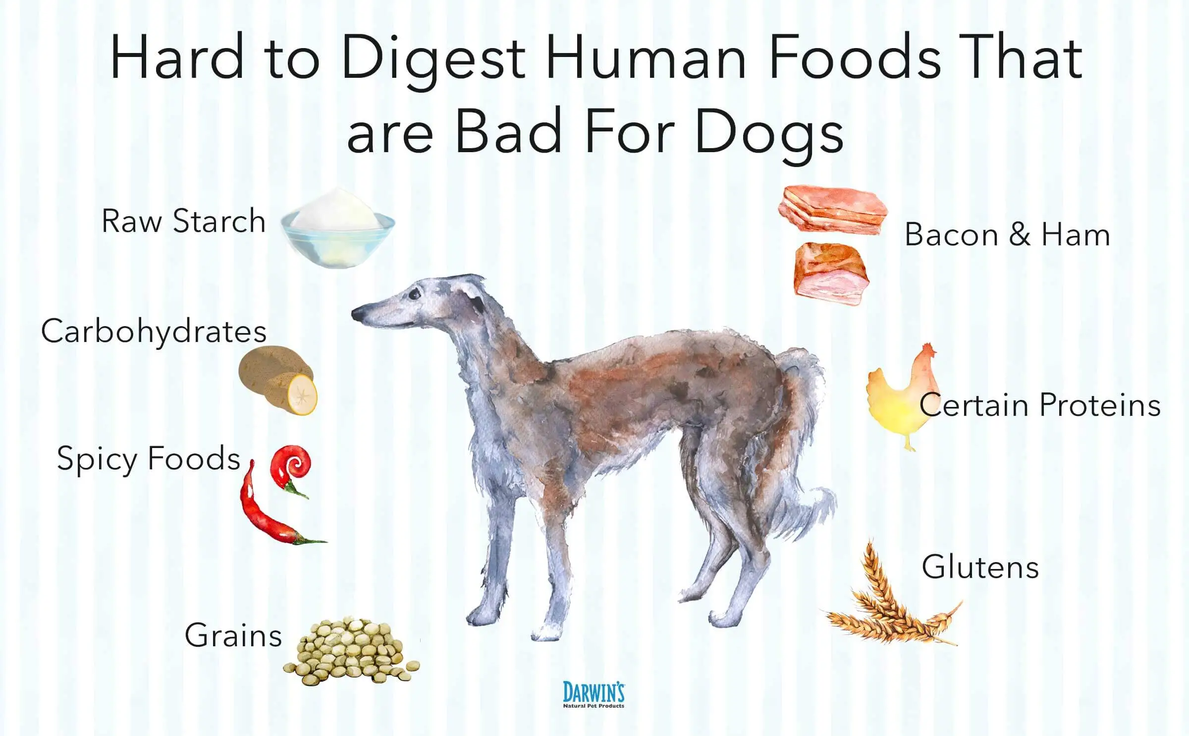 What Human Food is Good for Puppies?