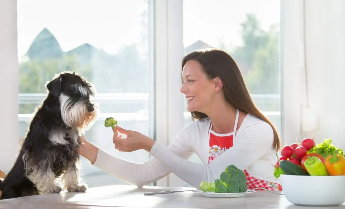 What People Food Can Dogs Eat?