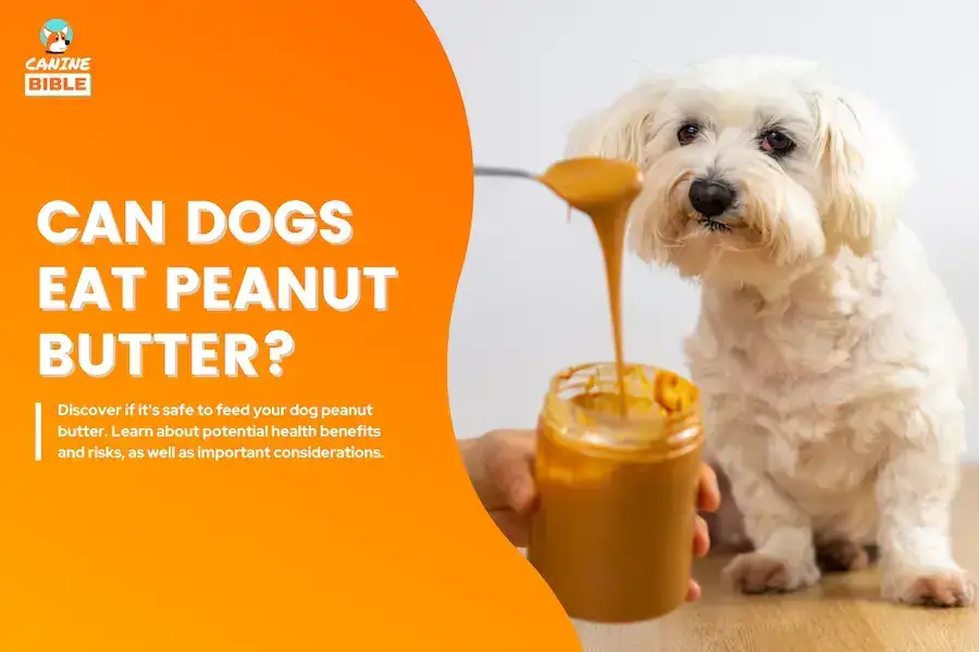 What is in Peanut Butter That is Bad for Dogs?
