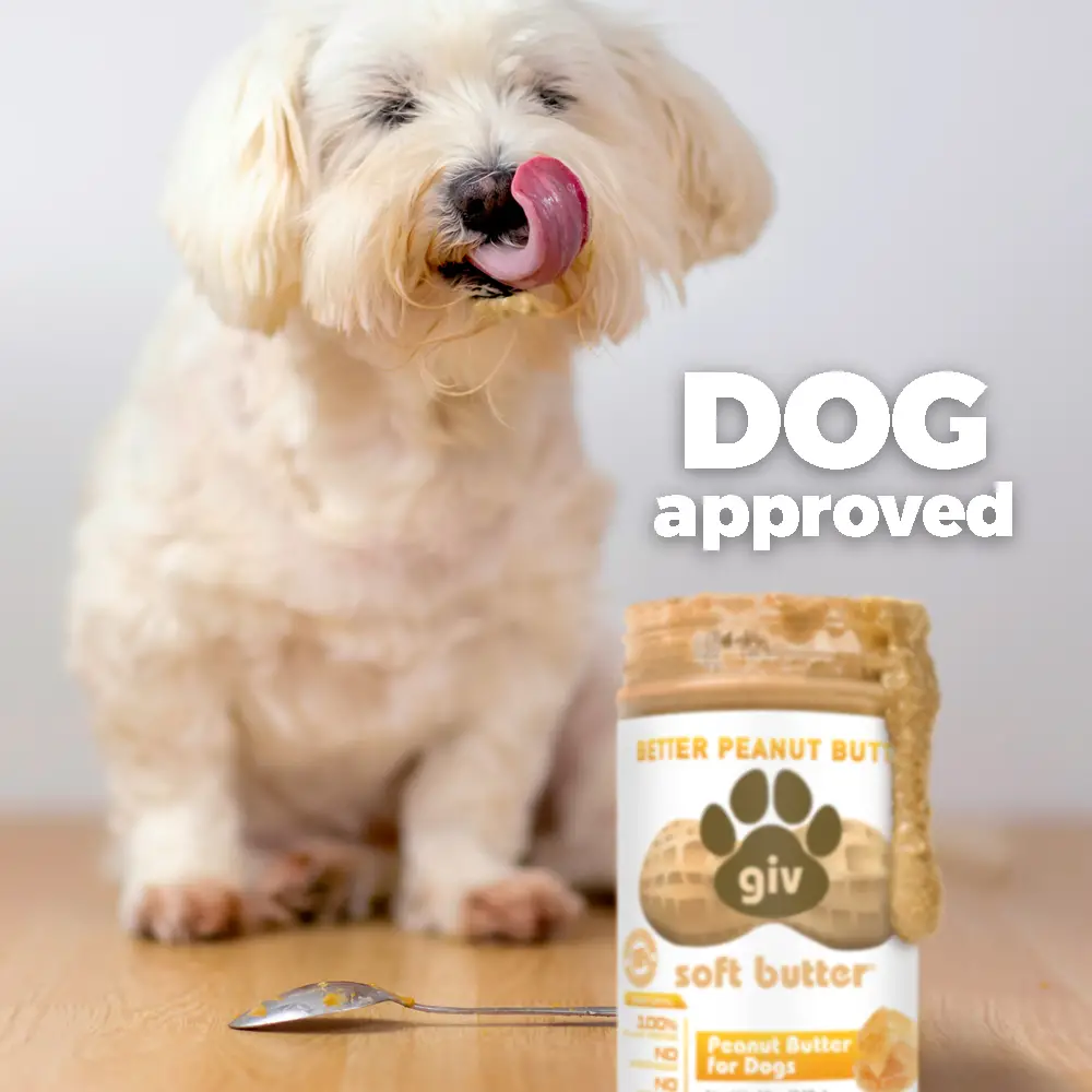 What is in Peanut Butter That is Bad for Dogs?