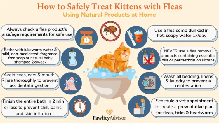 Best Flea Medicine for Dogs Without Vet Prescription