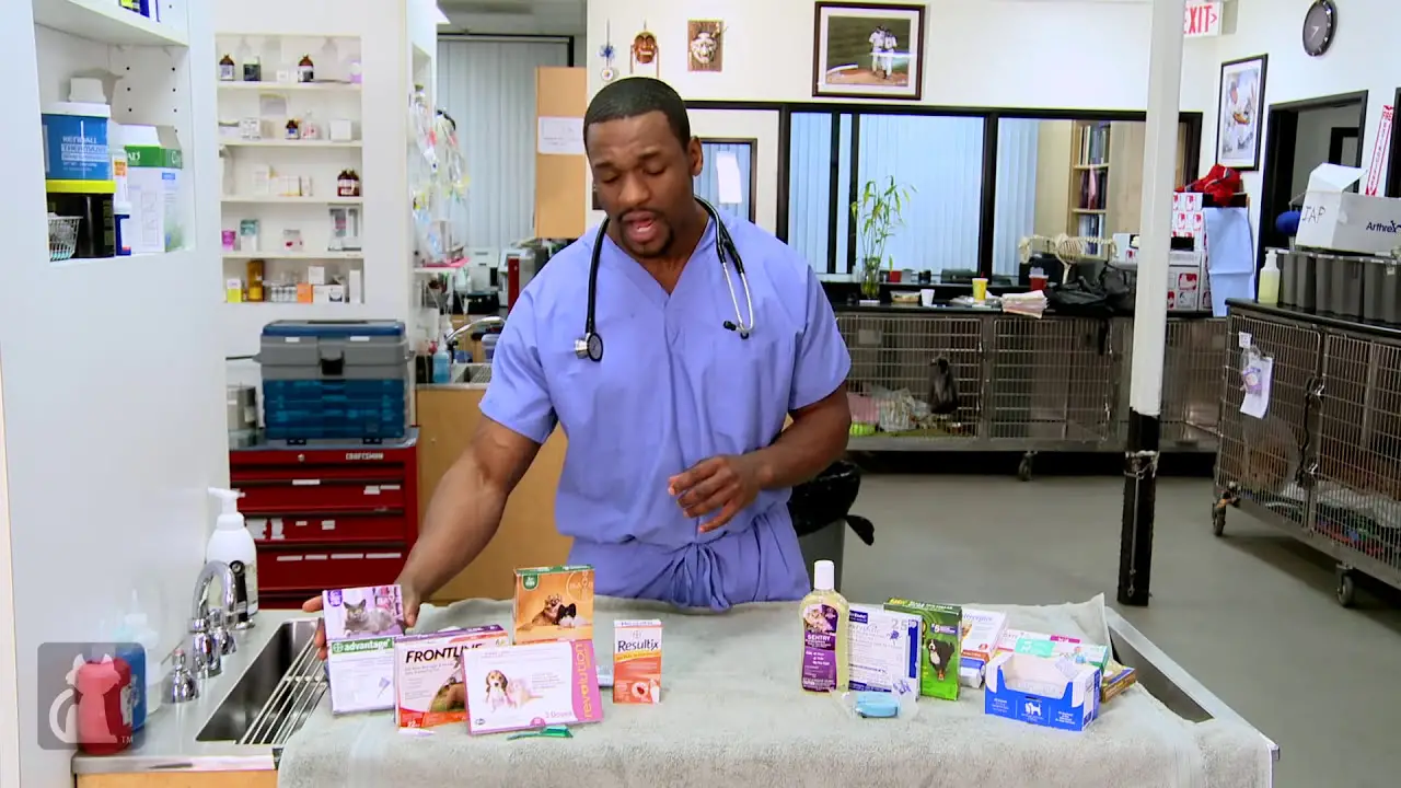 Best Flea Medicine for Dogs Without Vet Prescription