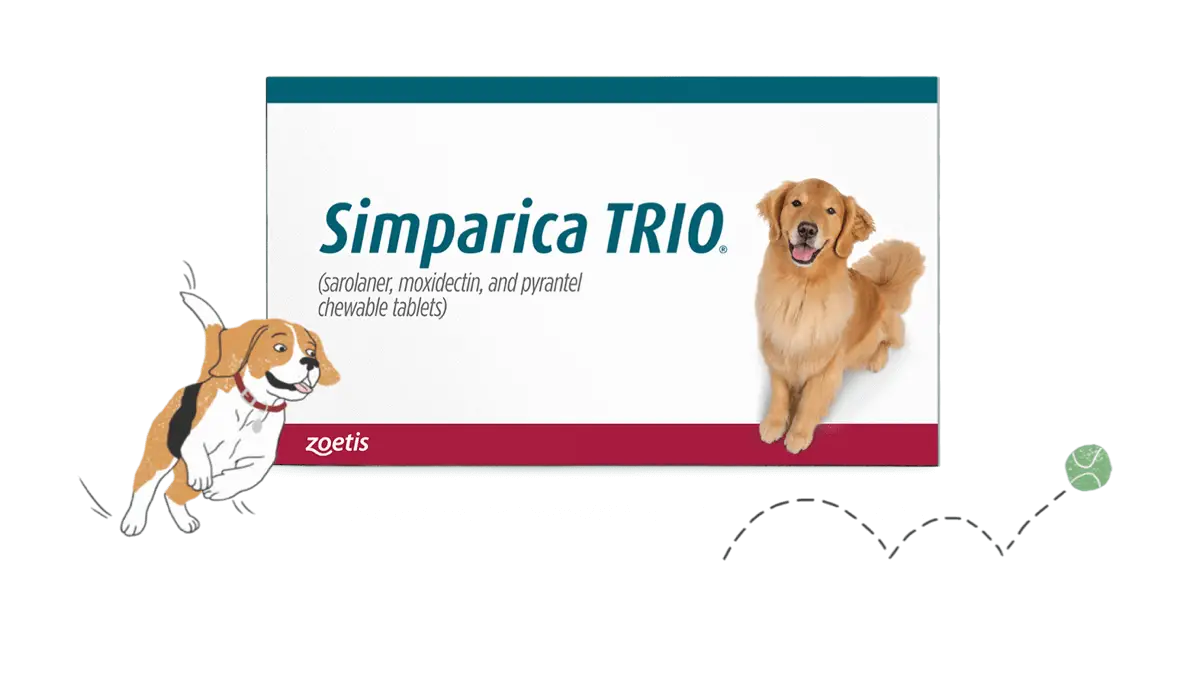 Best Flea Medicine for Dogs Without Vet Prescription