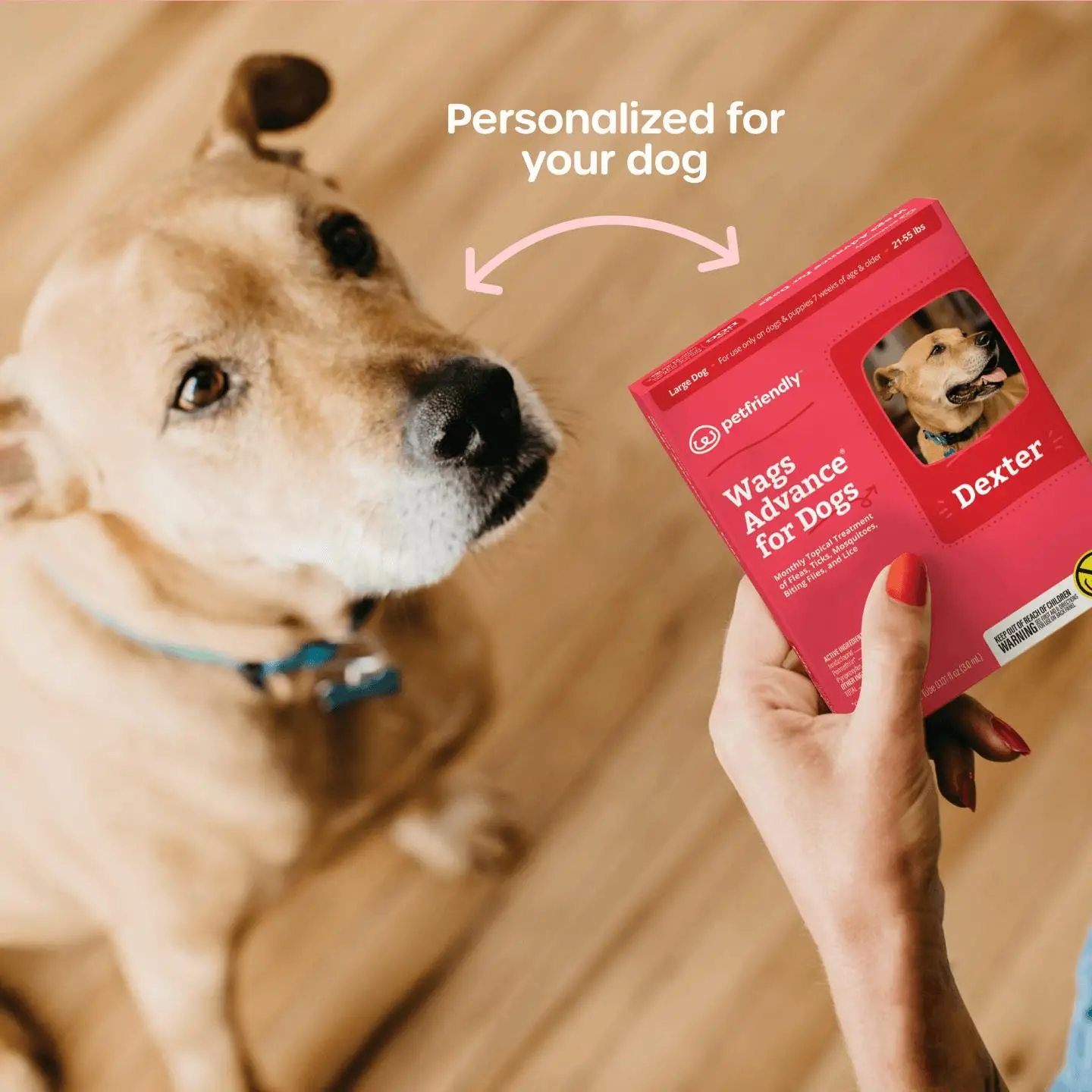 Best Flea and Tick and Heartworm Prevention for Dogs: Top Products Reviewed 2023