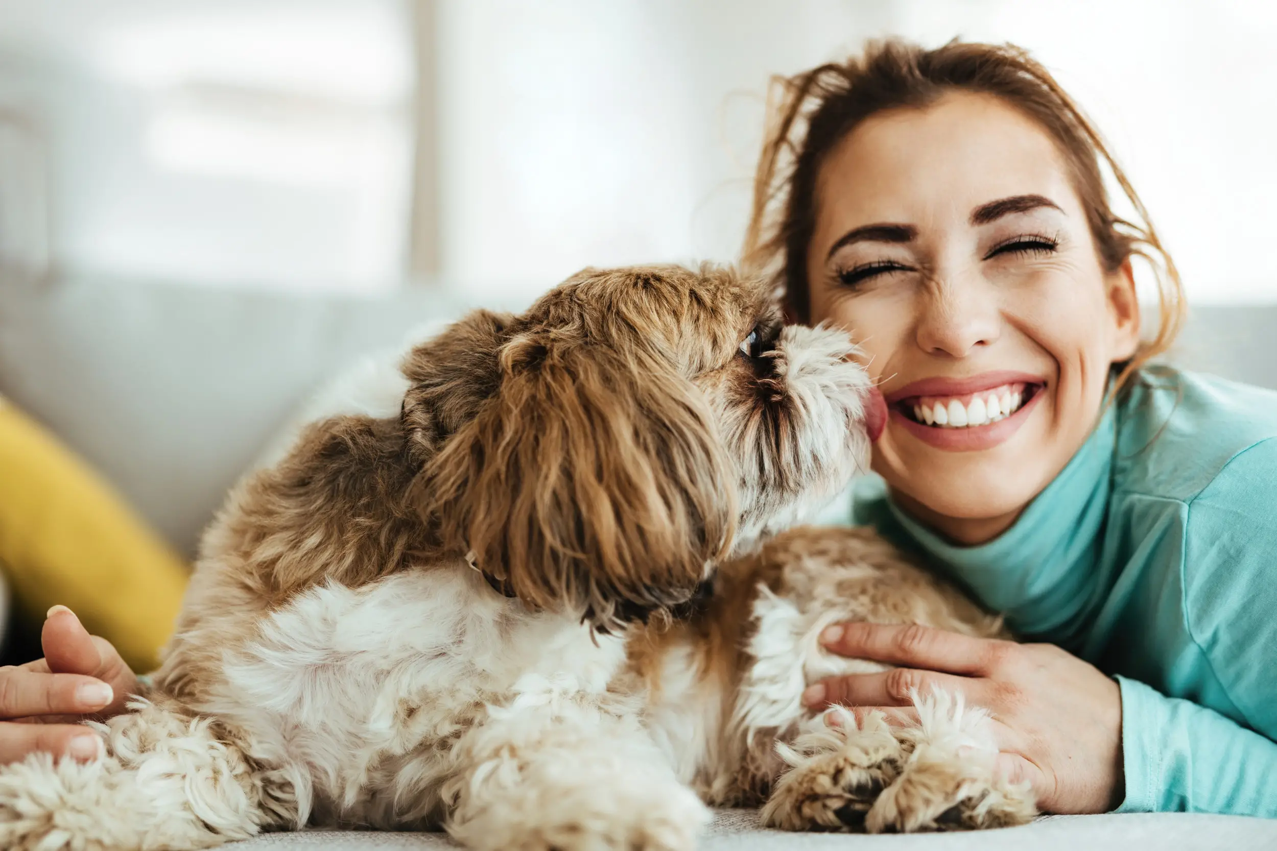 Easy Tricks for Dogs to Learn: Simple Methods for Quick Training Success