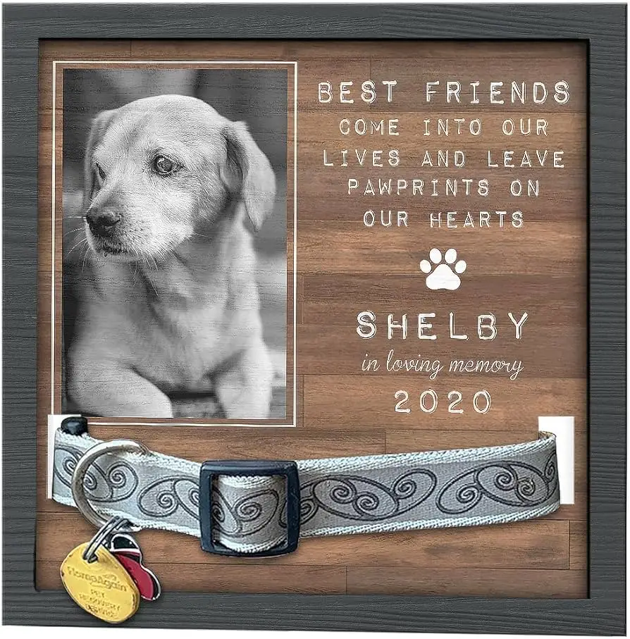 Gift Ideas for Someone Who Has Lost a Pet