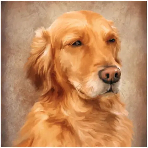 Gift Ideas for Someone Who Has Lost a Pet