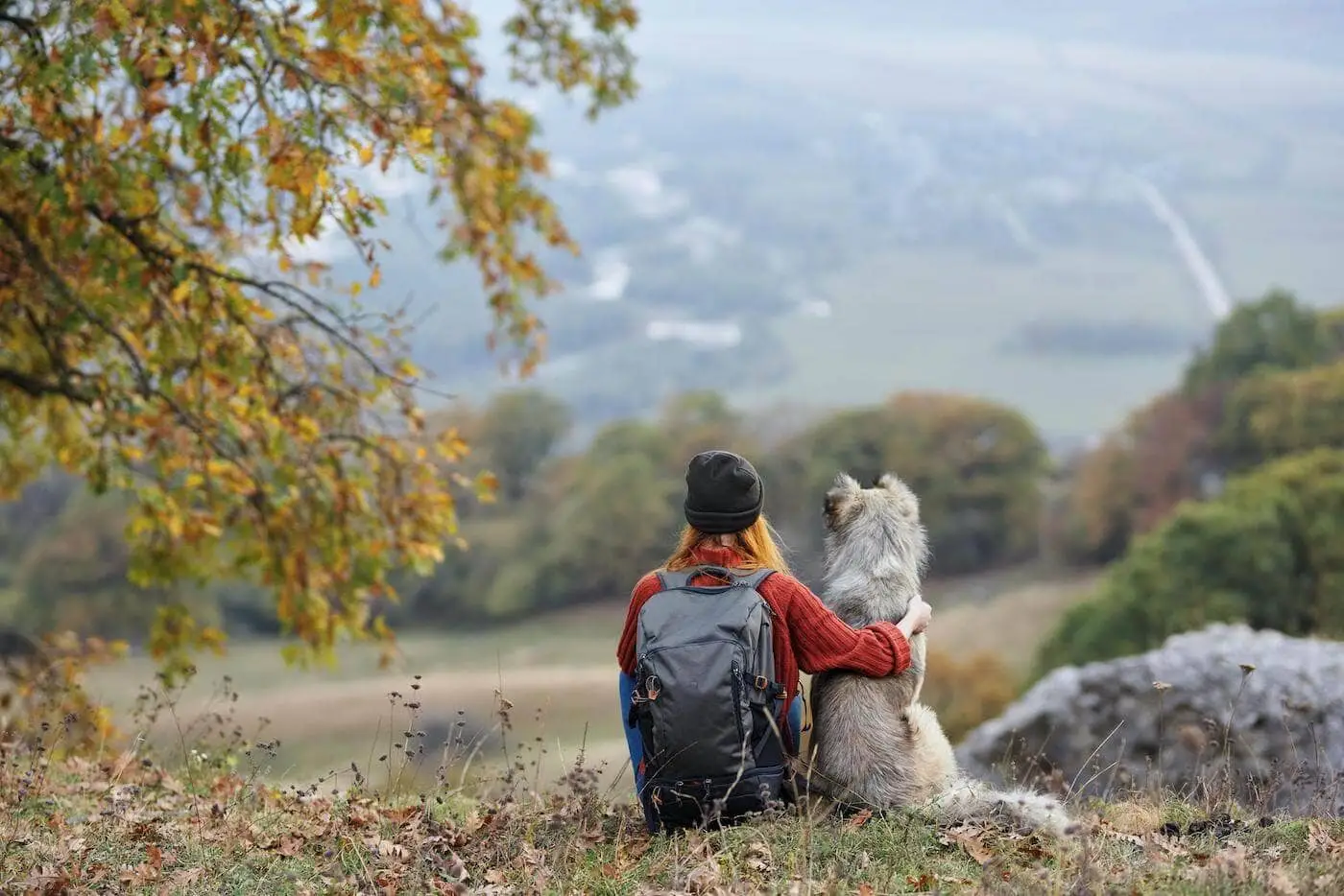 Gift Ideas for Someone Who Has Lost a Pet