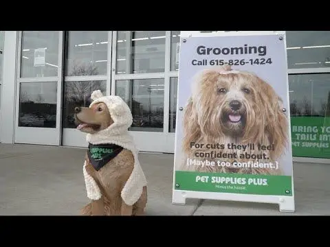 Top 10 Best Selling Pet Bath Products in 2024