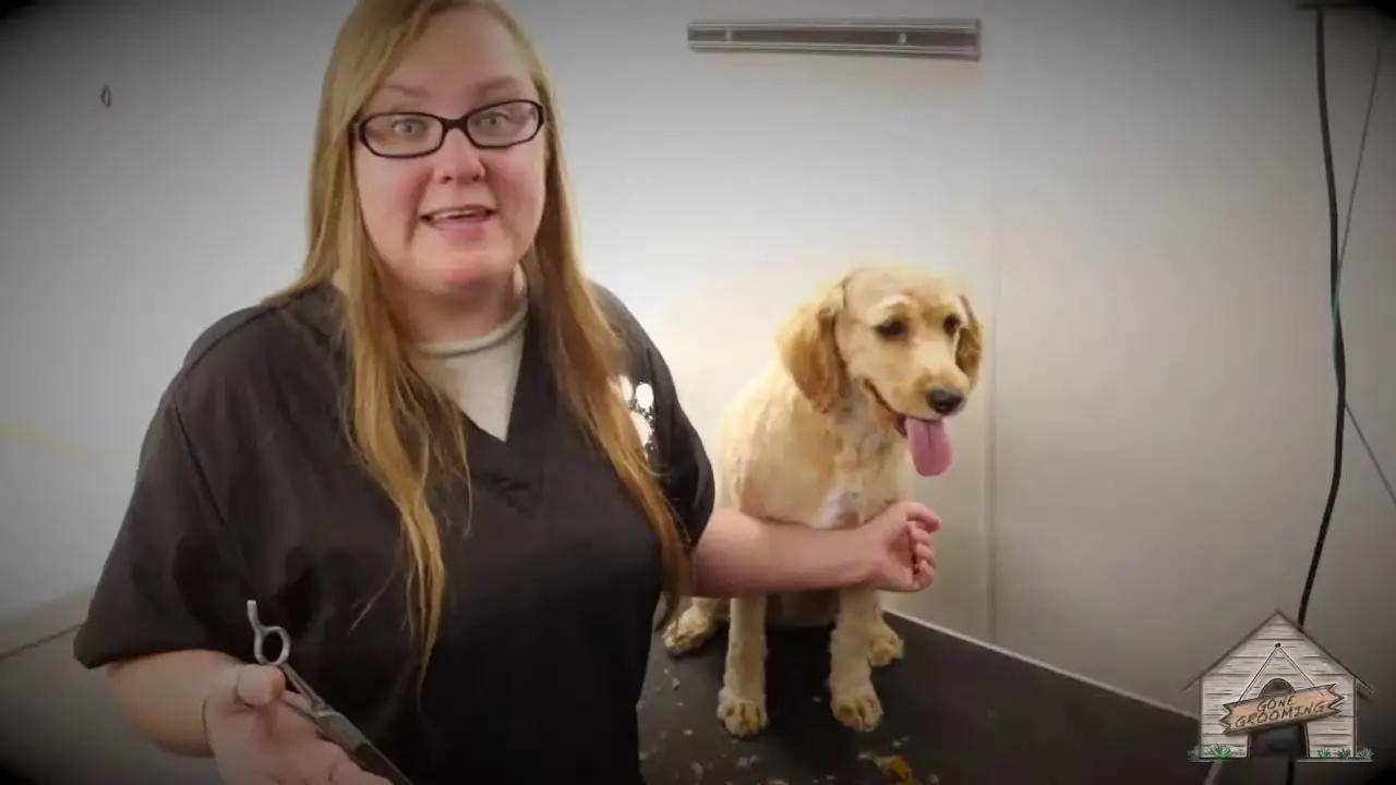 Top 10 Best Selling Pet Bath Products in 2024