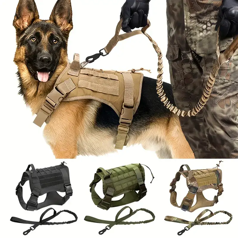 10 Best Automatic Leashes for Large Dogs in 2024