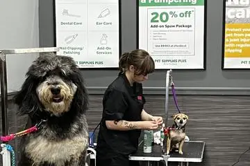 Pet Supplies Plus Dog Grooming A Comprehensive Overview