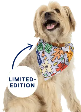 Pet Supplies Plus Dog Grooming A Comprehensive Overview