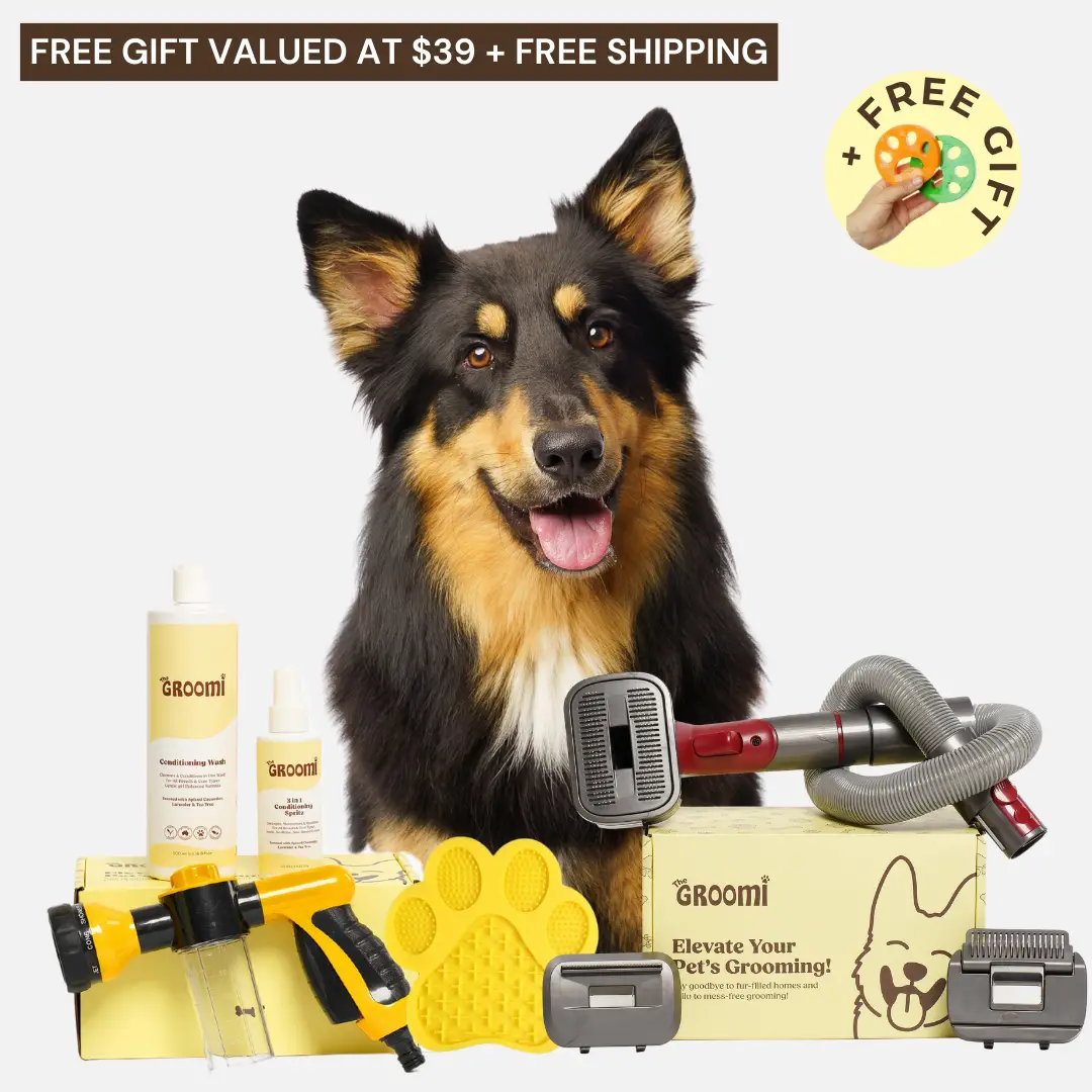 Pet Supplies Plus Dog Grooming A Comprehensive Overview