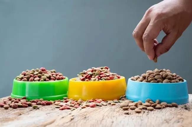 Pedigree Dog Food: Is It Good for Your Pet's Health and Nutrition?