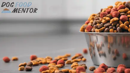 10 Taste of the Wild Dog Food Reviews for 2024 Nourishing Your Canine Companion