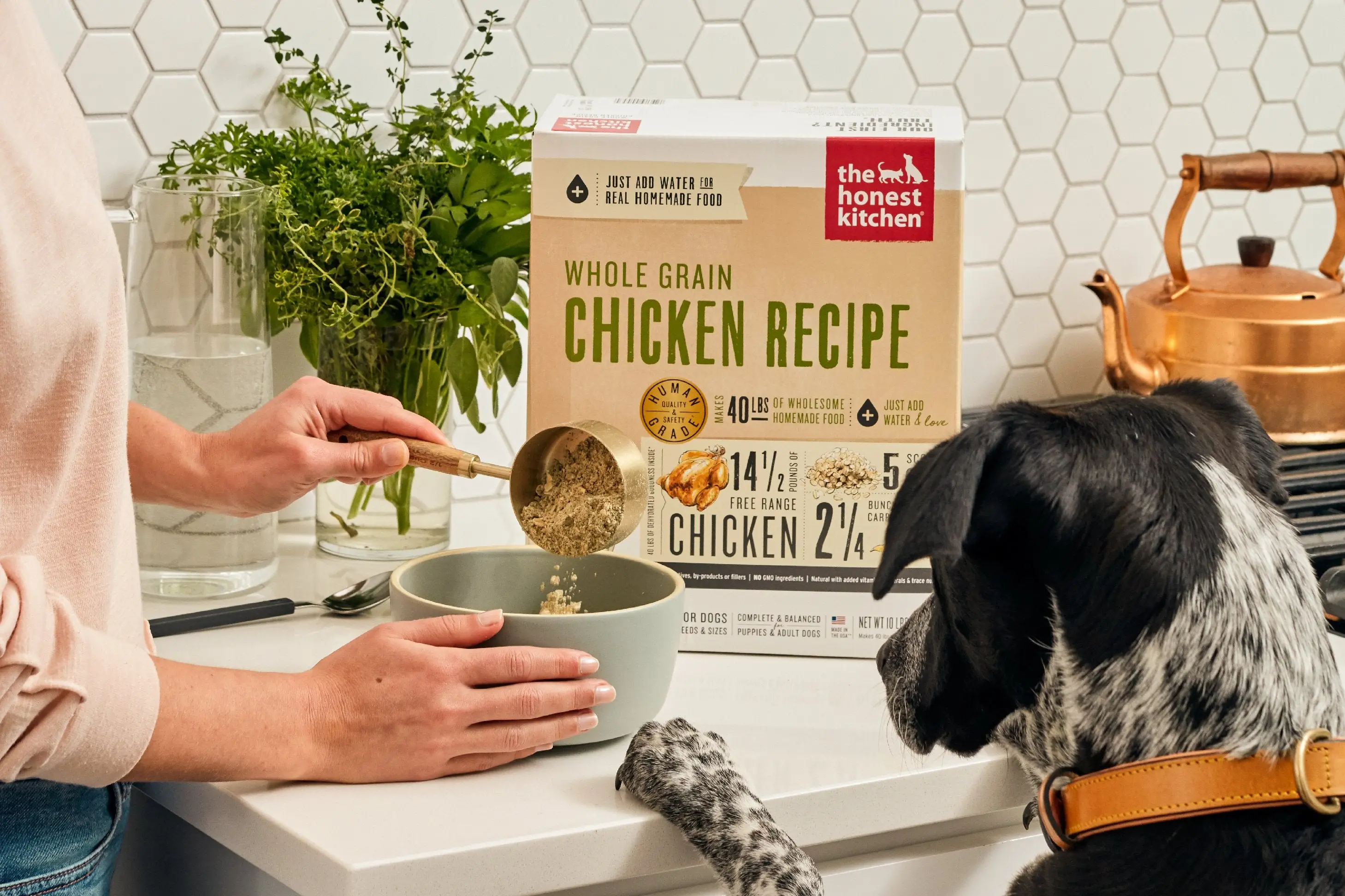 10 The Honest Kitchen Dog Food Reviews for 2024 Nutritious Meals for Your Canine Companion